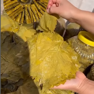 salamura yaprak (5 lt bidon) ( net 3 kg)