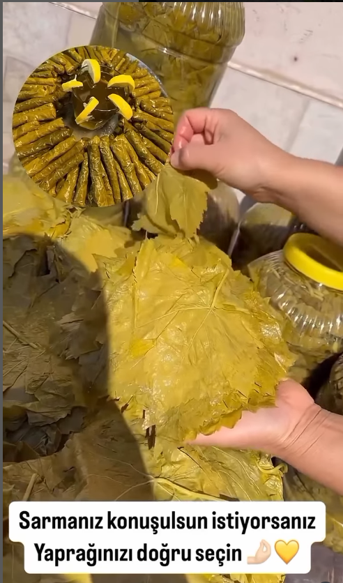 salamura yaprak (5 lt bidon) ( net 3 kg)
